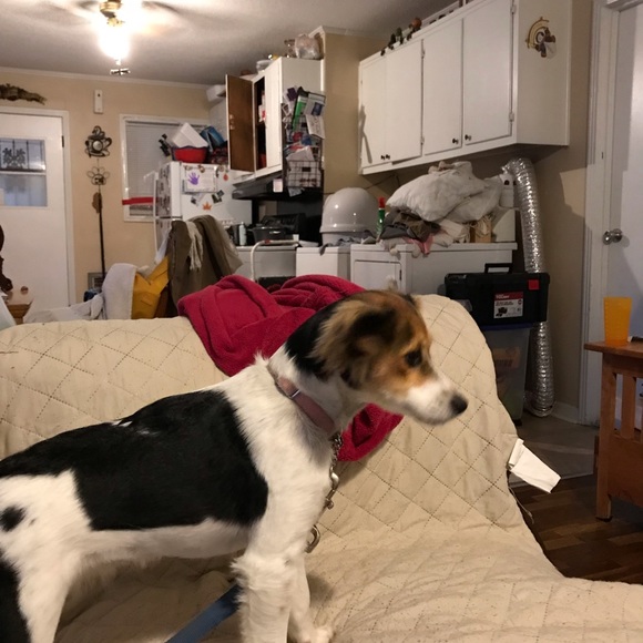 Meet your Posher, Joann - Picture 2 of 2